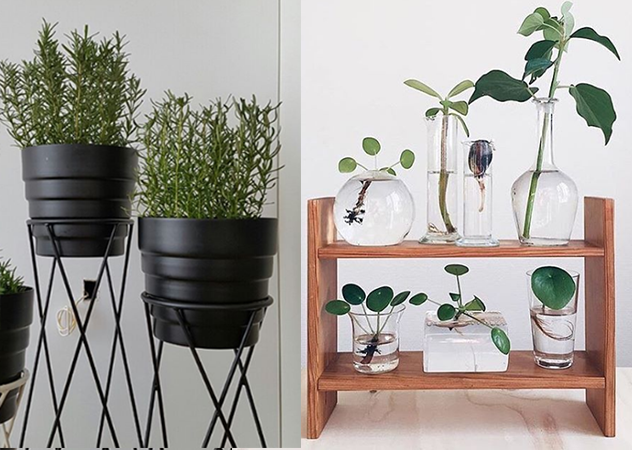 植栽