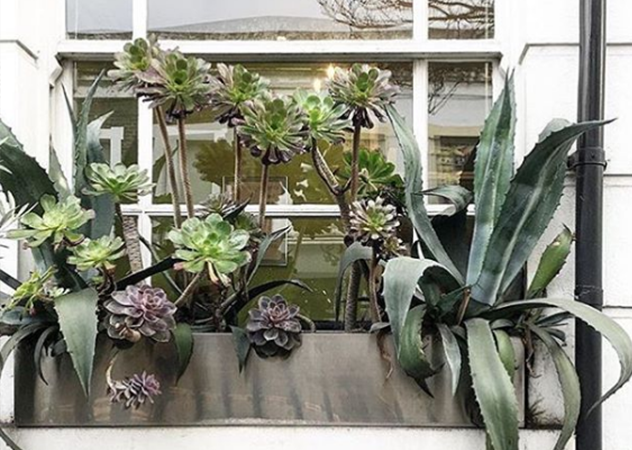 植栽