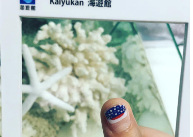 指彩