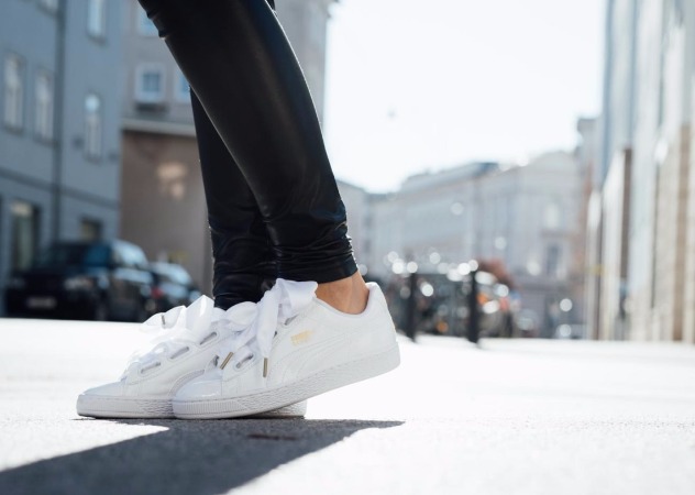 puma