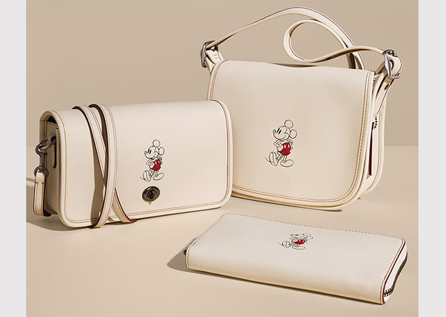 Disney X Coach