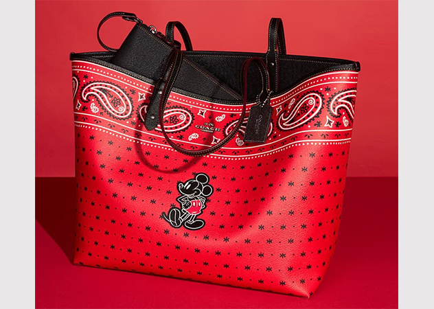 Disney X Coach