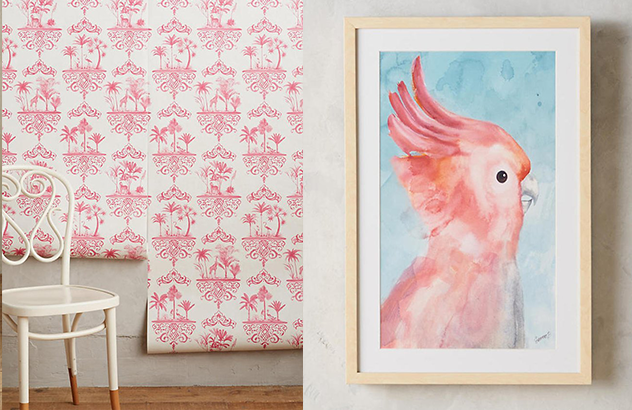 pinky room