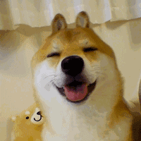 柴