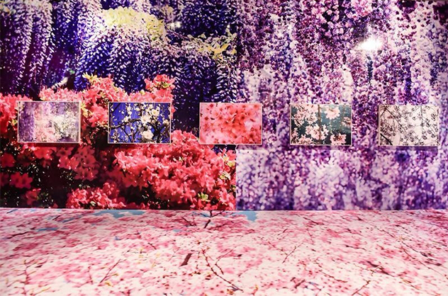 蜷川実花