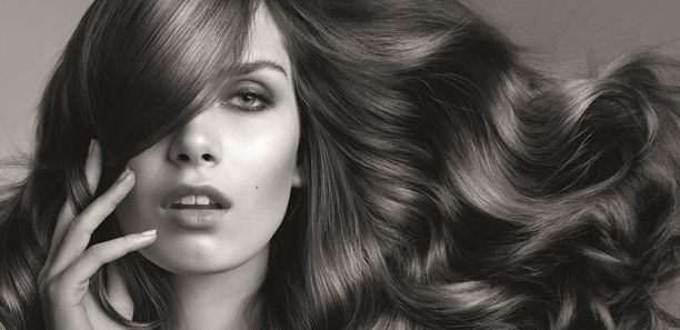 巴黎卡詩全新「皇家鳶尾滋養系列｣添加皇室保養祕方，讓爆炸頭Get Out｜髮品推薦