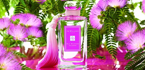 曾經的愛情故事        一輩子的記憶