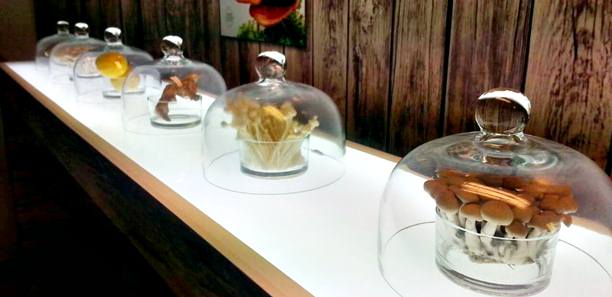 中西合併撫平叛逆肌，養成健康美肌寶寶