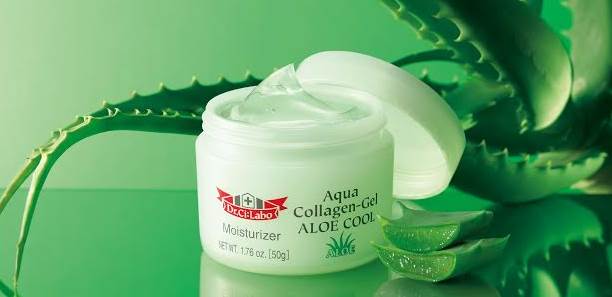 夏季限定蘆薈沁涼能量，給肌膚水水舒暢活力