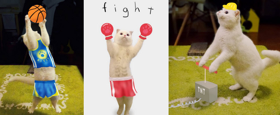 超有戲的喵星人「爽爽」報到囉～