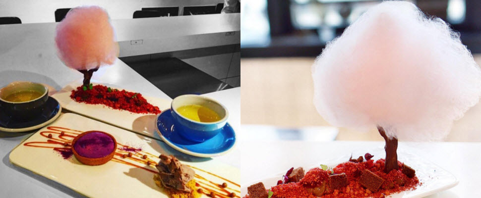 別人爭相飛日本賞櫻，我則是把整株櫻花吃下肚！