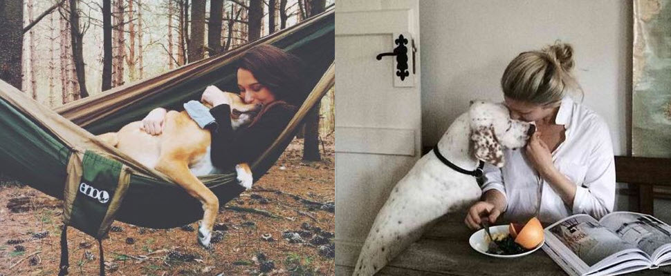 看完這5張圖，男人就會發現自己的地位不如狗！