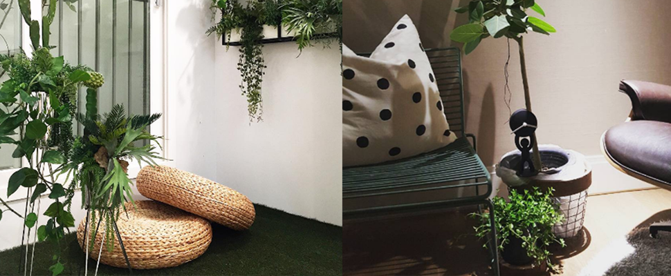 室內植物設計布置新提案！快讓綠意盎然的植物進駐妳的臥室｜房間布置