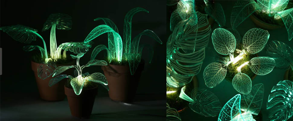 以後就不用買小夜燈啦～融合燈具的小植栽真的好可愛喔！｜居家佈置