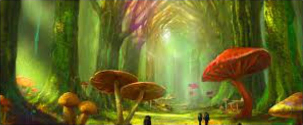 經典卡通大集合～我的腳上就是童話世界！