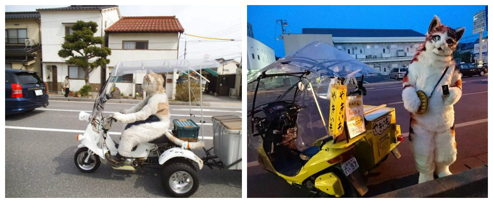 我有看錯嗎？貓咪居然會賣烤地瓜！