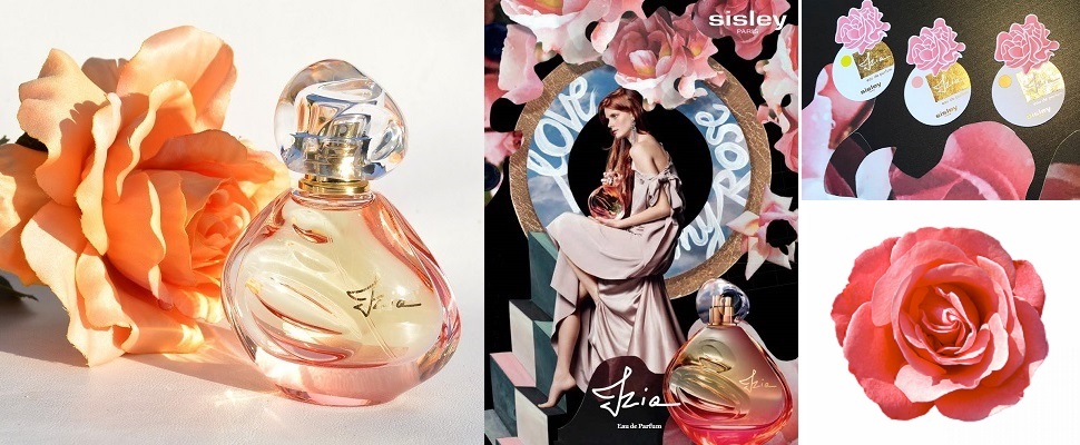 就像現摘！《sisley》讓你奢華的沐浴在玫瑰香氛裡！