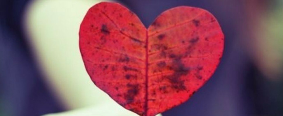 沒有複雜的遊戲和心機，這三大星座的愛情最純粹簡單～