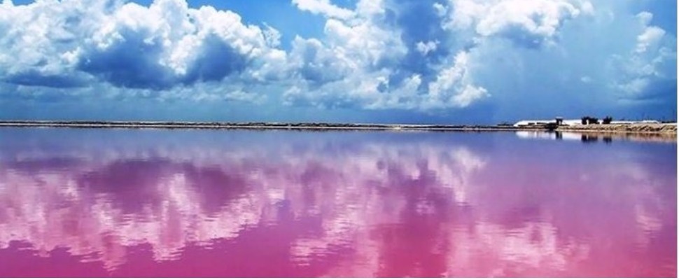 這是夢吧？世界上真的有個地方有粉紅色的湖！