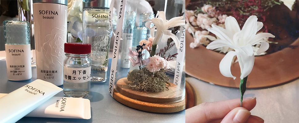 研究30年的最高肌密公開！「月下香精華」完整注入芯美顏全系列