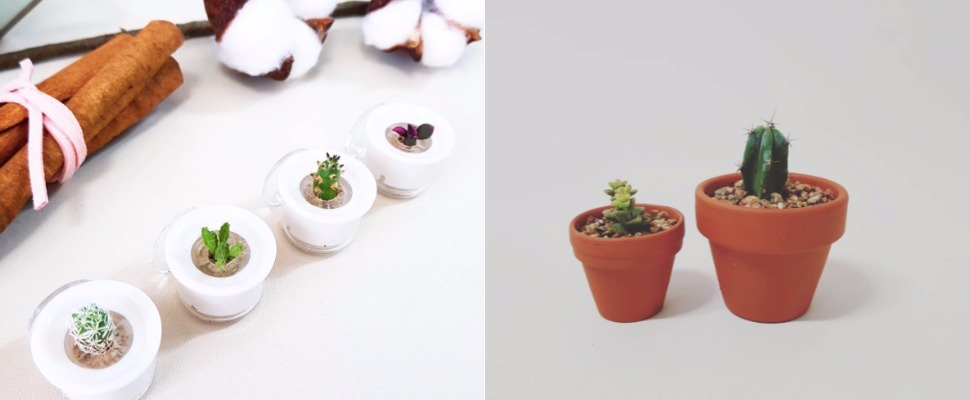 風靡韓國妹子的療癒系單品，妳知道是什麼嗎？